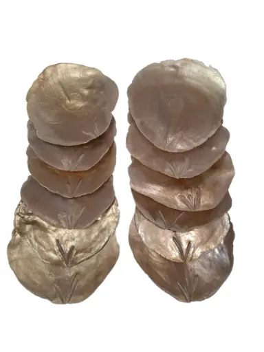 [A-026014] Capiz Camar schelpen Goud 250 gram
