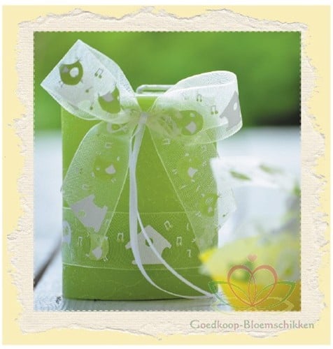[A-009938] Lint Birdy Vogeltje Muziek Wit Appelgroen 22 mm rol 20 meter