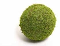[A-011230] Bol Mos, Bal Mos, Asiamos 10 cm mosbal bol mos
