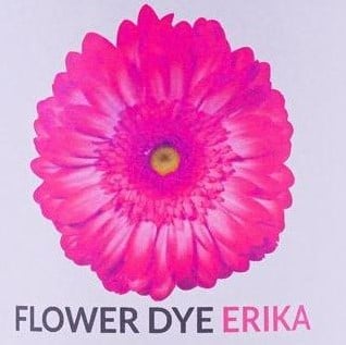 [A-024466] Bloemenzuigverf Erica Absorbable Flower Dye 500 gram