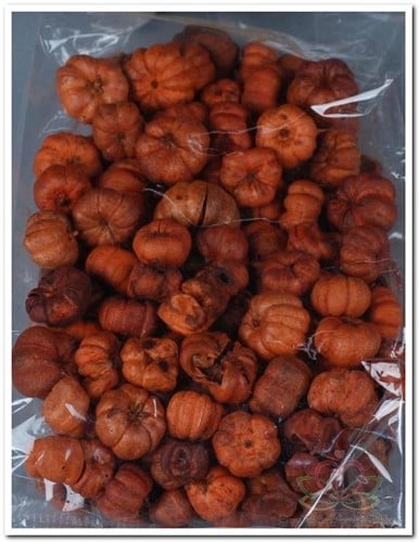 [A-001632] Putka Pods Terra ca. 40 gram kleinverpakking
