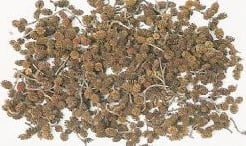 [A-002938] Birch cones bag ca. 250-300 gram