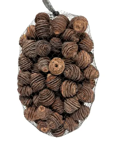 [A-003981] Platyspernum zak 1 kilo voordeelverpakking
