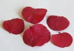 [A-004649] Moneta blad Folha Moeda Rood doos 100 gram