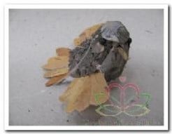 [A-005609] Vogeltje van berk 10×9×5 cm per stuk