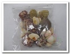 [A-006789] Leucadendron Mix 100 gram kleinverpakking