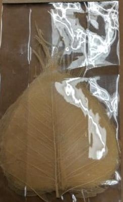 [A-006905] Skeletblad Gebleekt ca. 25-30 stuks