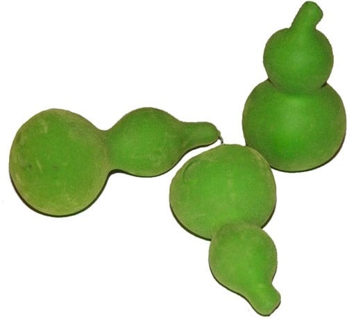 [A-008971] Bullis gedroogde kalebas Velvet Groen 10 stuks