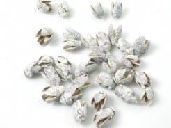 [A-009001] Bakuli White Wash 1 kilo
