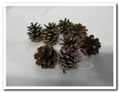 [A-009002] Sylvester denneappeltjes Naturel 250 gram