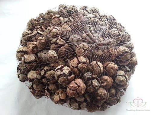 [A-009567] Cypressus Naturel 1 kilo