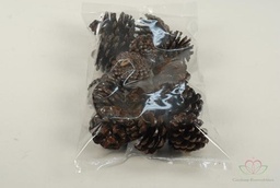 [A-009772] Dennenappels Pinecone Lak 250gr