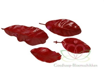 [A-009788] Blad Mandiocablad Rood ca. 100 gram