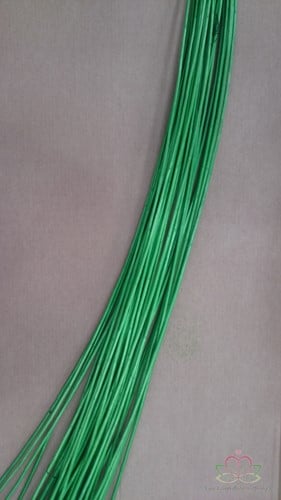 [A-010367] Pitriet Appelgroen 1.7 meter 500 gram