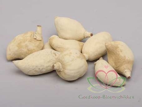 [A-010500] Baobab noten Light ca. 500 gram