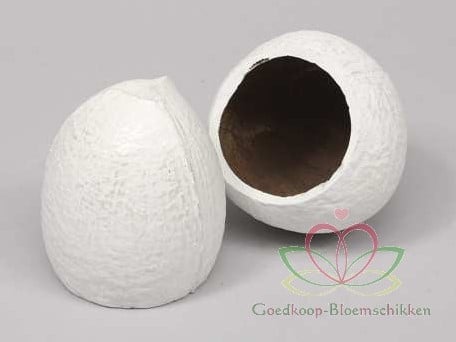[A-010755] Coconut Top-cut Kokosnoot Wit 5 stuks 480 gram