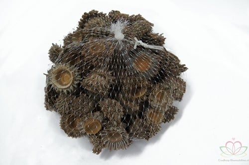 [A-011268] Vailon cone Naturel 1000 gram