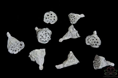 [A-011274] Lotus Mini Stone Washed 3–5 cm zak ca. 200 stuks
