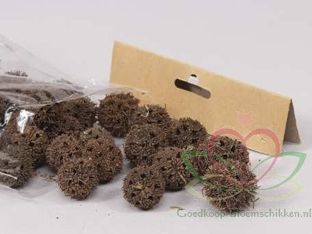 [A-011343] Liquidambar Fruit Naturel 100 gram kleinverpakking