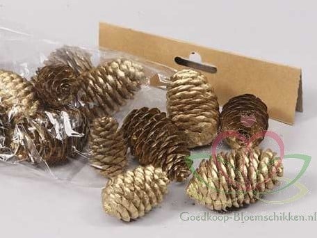 [A-011348] Dennenappel Ray Cones Goud 100 gram kleinverpakking