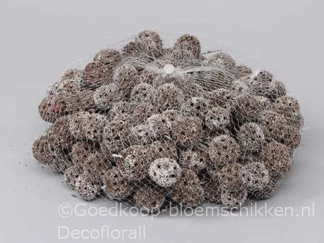 [A-011354] Liquidambar Fruit White Wash 500 gram