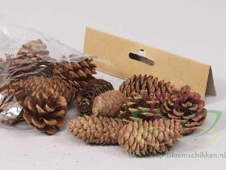 [A-011373] Dennenappel Ray Cones Naturel 100 gram kleinverpakking
