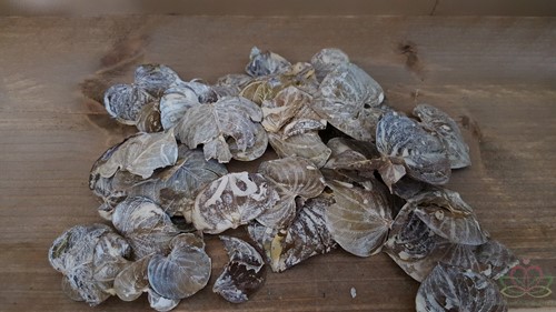 [A-011655] Coracao leaves Frosted Groene blaadjes 150 gram