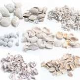 [A-011793] Indian Nuts & Fruits Assortiment natuurlijk decoratiemateriaal 