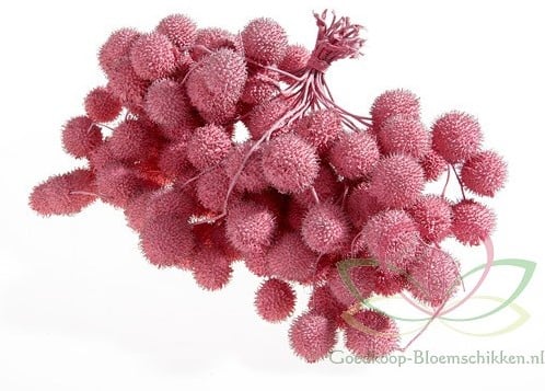 [A-011828] Plataanballetjes Plane Ball Roze Pink zak
