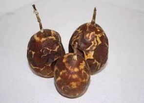 [A-012519] Passion Fruit Brown Fire 10 stuks