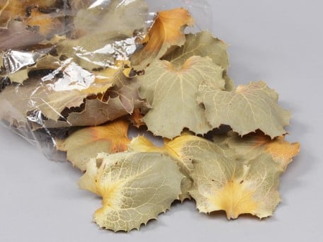 [A-012697] Hakaea Victoria bladeren Naturel groot pak 150 gram