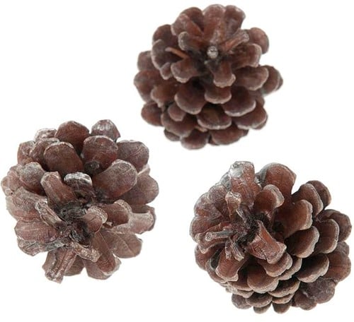 [A-012871] Oostenrijker dennenappel Pinus Nigra Antique zilverwash 6 stuks