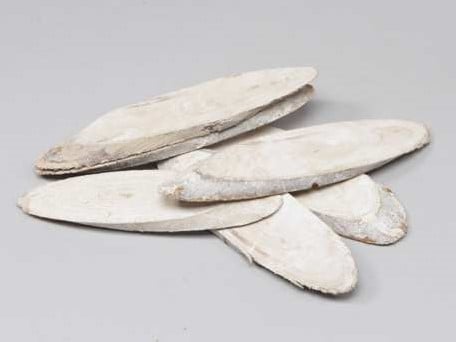 [A-013224] Berkenschijven ovaal White Wash ca. 20-25 cm 6 stuks