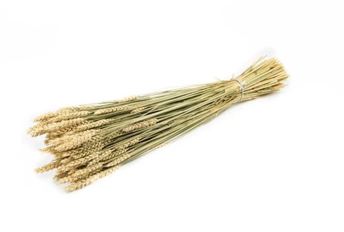 [A-013859] Tarwe droogbloemen Naturel halmen per bundel