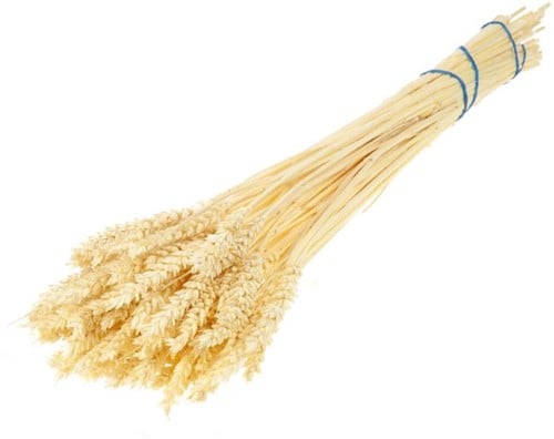 [A-013863] Tarwe droogbloemen Gebleekt per bundel