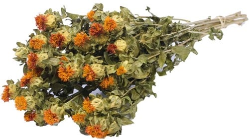 [A-014731] Bidens Carthamus Orange natural SB