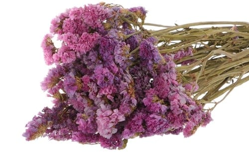 [A-014747] Statice Sinuata Lamsoor droogbloemen Purple/Pink