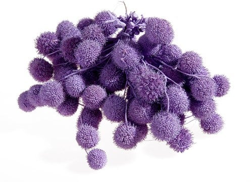 [A-014965] Plataanballetjes Plane Ball Milka Paars zak