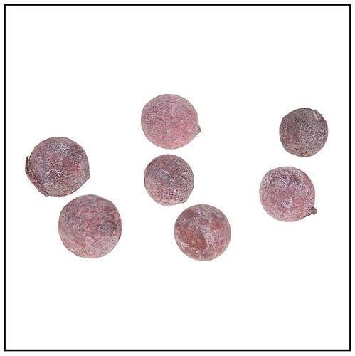 [A-015155] Pal Fruit Terra cotta 200 gram