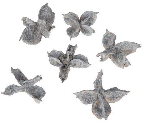 [A-015249] Cotton pods Katoenpods Grey/Grijs/Wit 150 gram