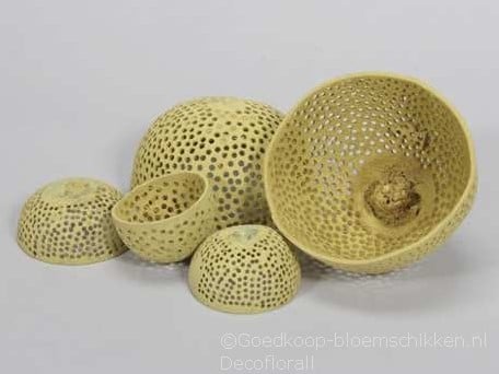 [A-015317] Kokosschalen Bell Cup Netted Geel gemengde maten zak 10 stuks