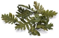 [A-015938] Eikenblad Los Mosgroen ca. 150 gr