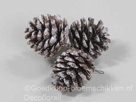 [A-016123] Dennenappels Pinecone Snow op draad ca. 4,5cm Bundel van 3