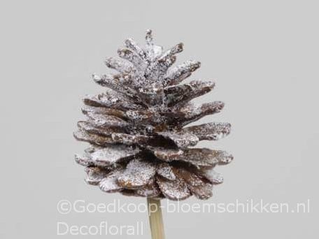 [A-016124] Dennenappels op draad Grootverpakking Naturel Snow doos ca. 600st Bulk