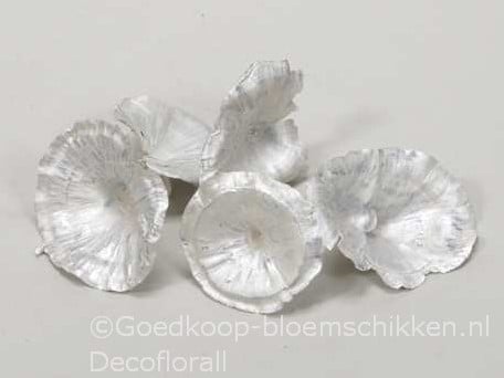 [A-016143] Golden Mushroom White Pearl Paddenstoel 250 gram