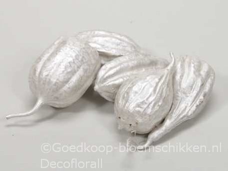 [A-016149] Jhinga fruit Zaaddozen White Pearl 10 st 