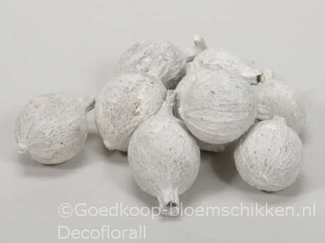 [A-016159] Cowri Fruit Noten White Wash 300 gram