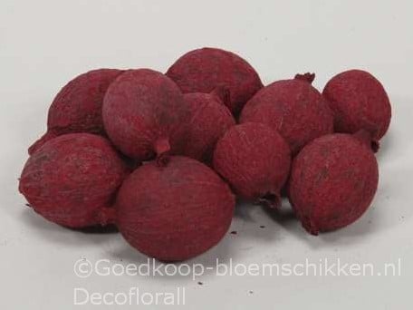 [A-016164] Cowri Fruit Noten Rood 300 gram