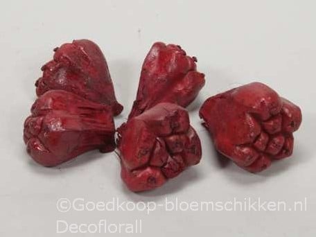 [A-016173] Kiyafruit Rood Noten 300 gram