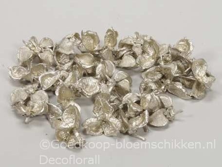 [A-016178] Cottonpod Katoenpods Platinum 250 gram